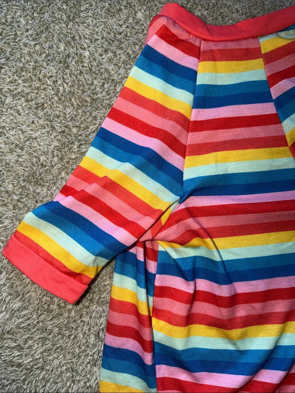Birthday Pup Rainbow Stripe Dog Tee